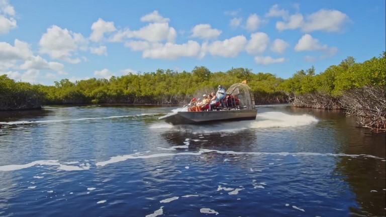 airboat everglades