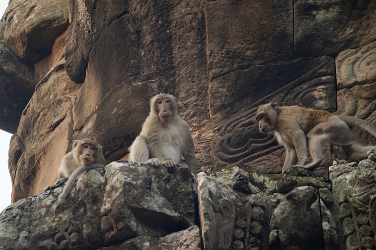 Angkor