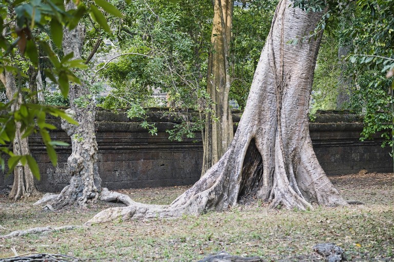 Angkor