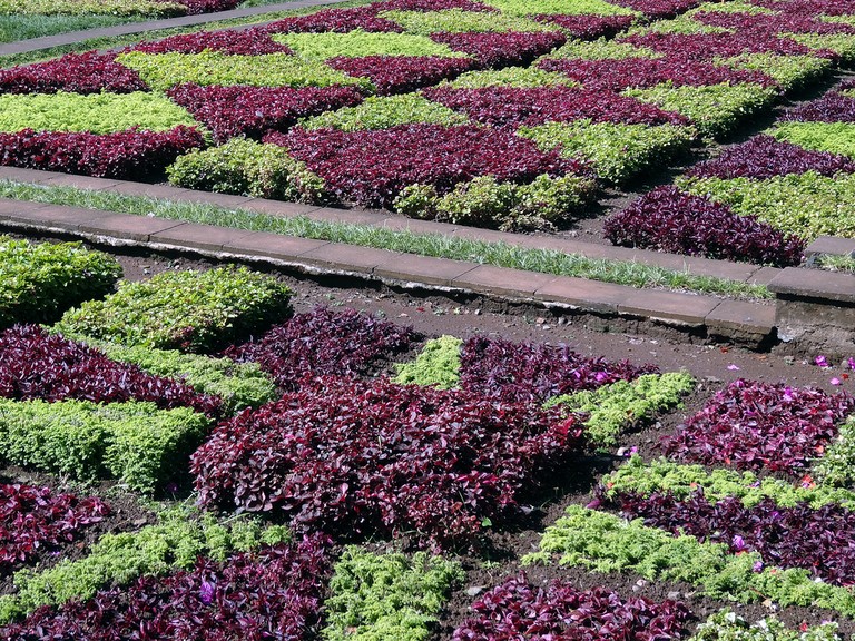 jardin botanique Funchal