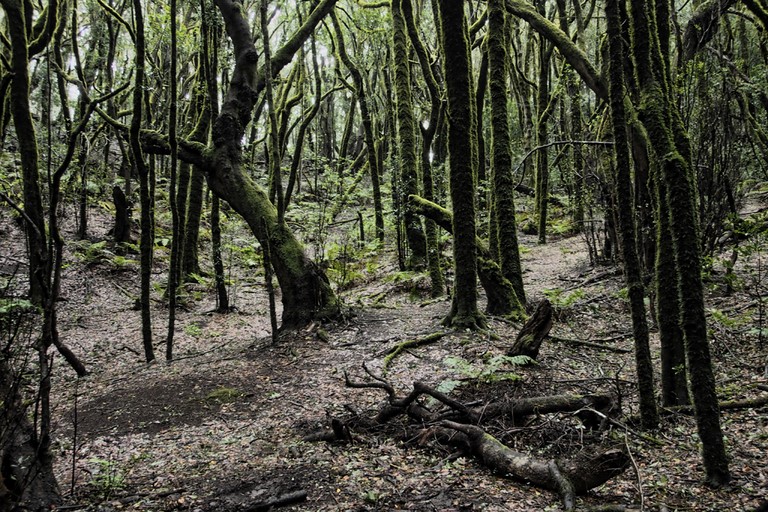 vallée de Hermigua