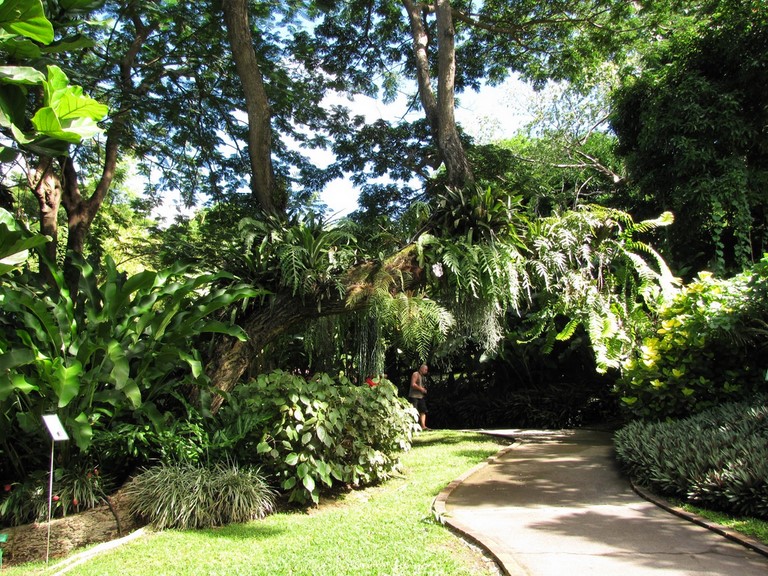 Jardin botanique de Deshaies