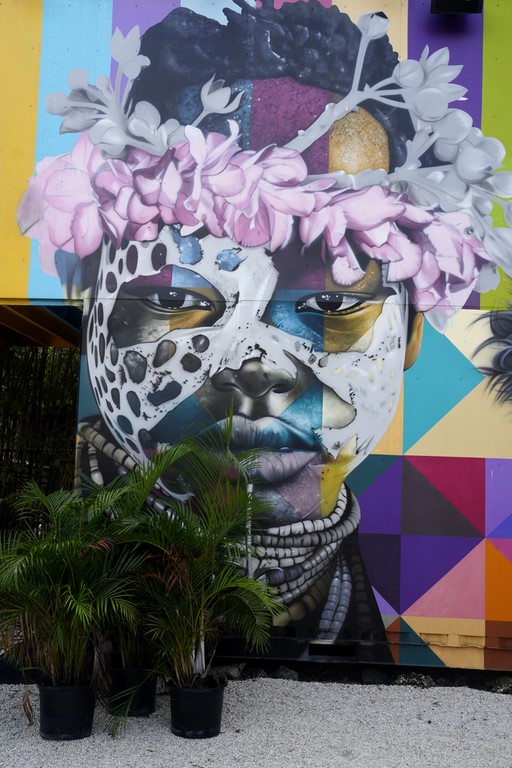 wynwood walls Miami