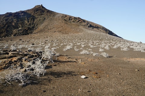 Bartolomé Island