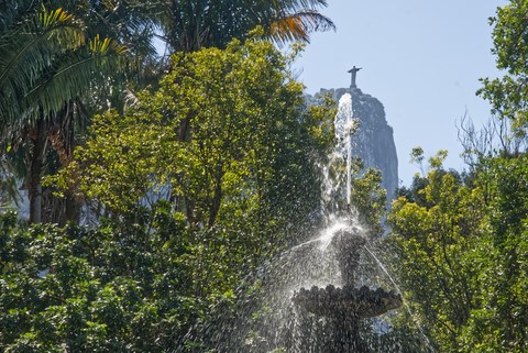 jardin botanique Rio