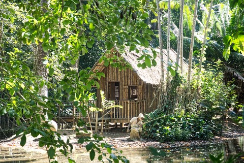 jardin botanique Rio