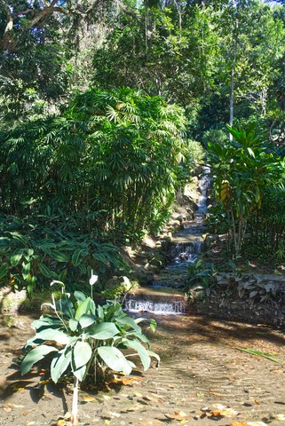 jardin botanique Rio