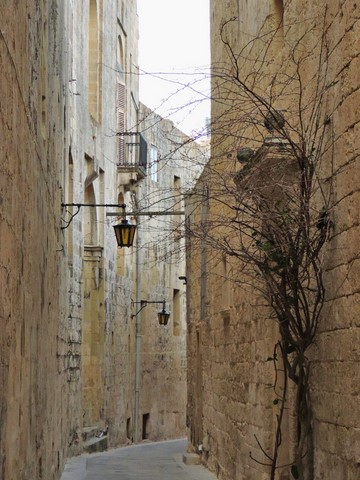 rue de Mdina