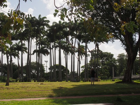 parc fort de France