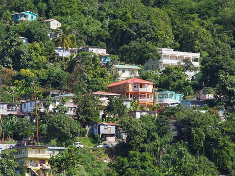 maisons au dessus du port de Roseau