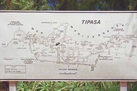 Tipasa