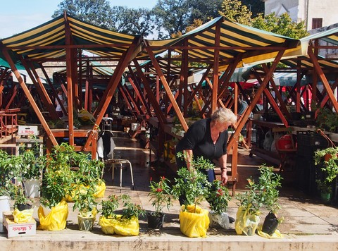 marché  Zadar