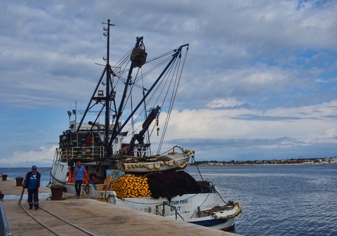 port  Zadar