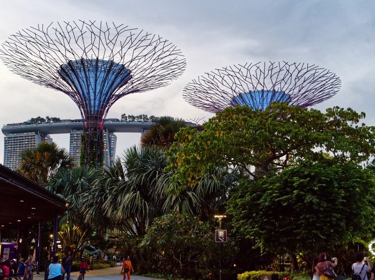 super trees singapour