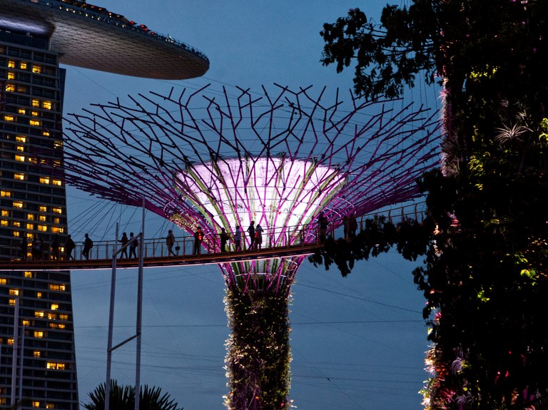 super trees singapour