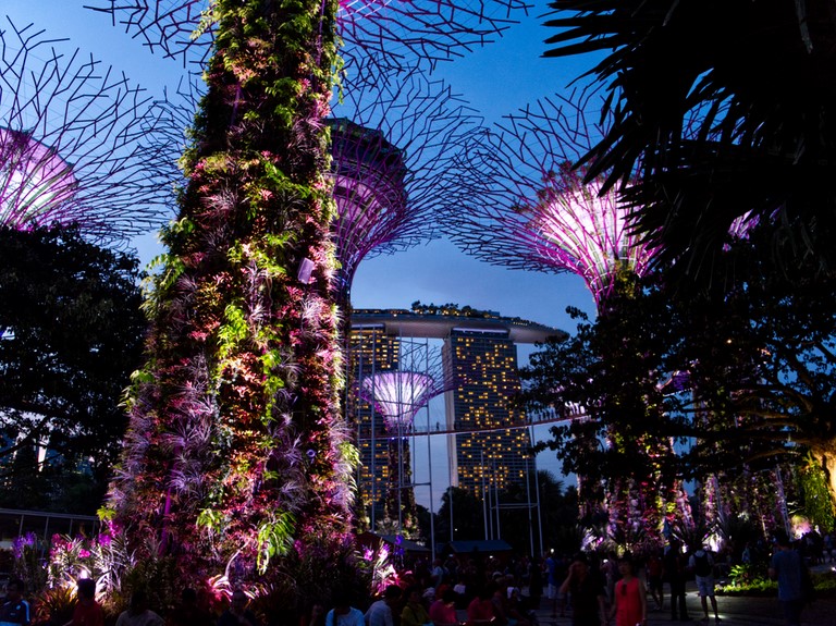 super trees singapour