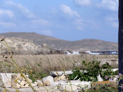 ruines Delos