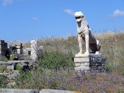 lions Delos