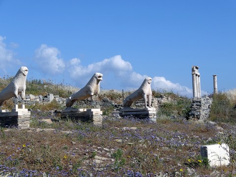 lions Delos